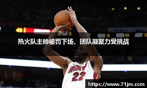 热火队主帅被罚下场，团队凝聚力受挑战